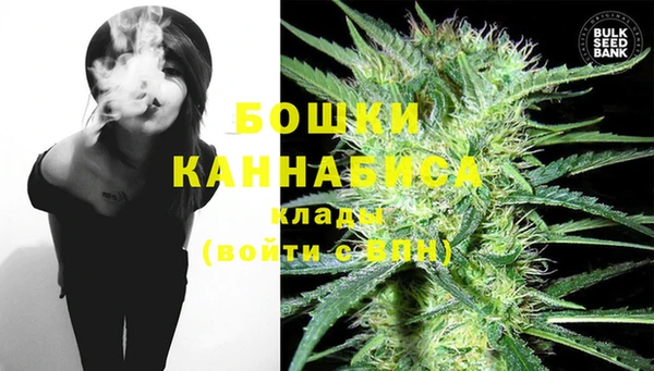 шишки Михайлов