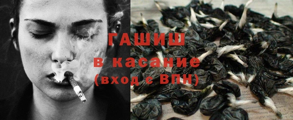 шишки Михайлов