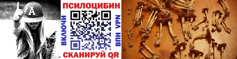 как найти закладки  Ивдель  Псилоцибиновые грибы Psilocybine cubensis 